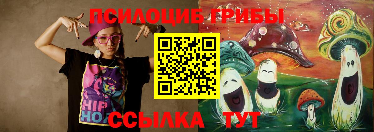 Галлюциногенные грибы мицелий  Вход с VPN  Химки  Псилоцибиновые грибы Psilocybe 